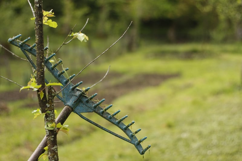 Gardening Community